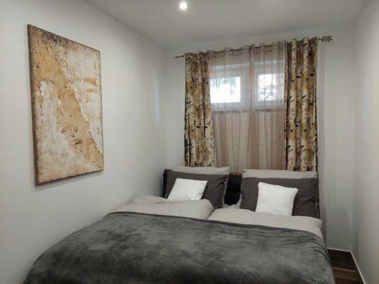 Dr Becsey Luxury Apartman 贝凯什乔包 外观 照片